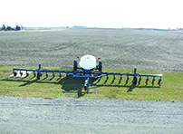 picture - 2500